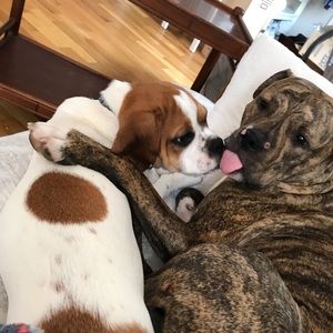 Meet your Posher, Ryan